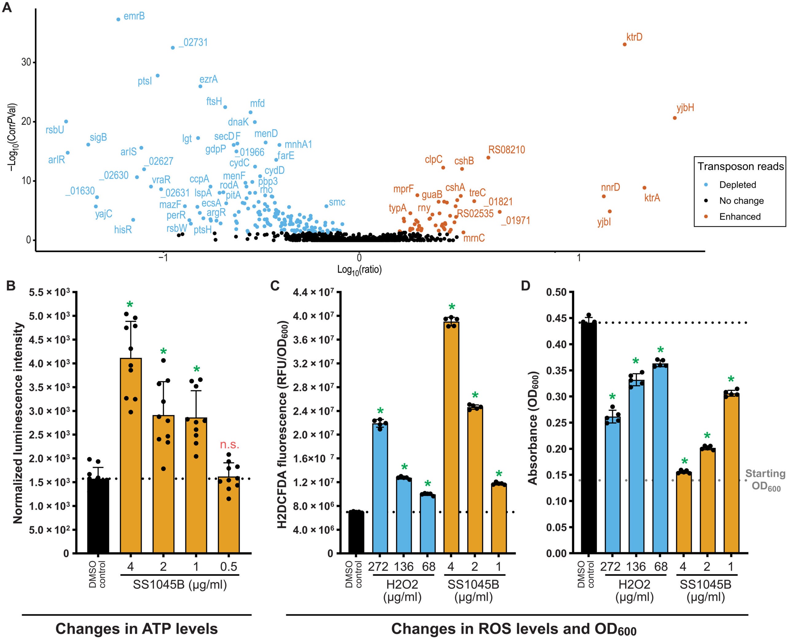 TriPcides cause increased ROS and ATP levels in MRSA-1369.
