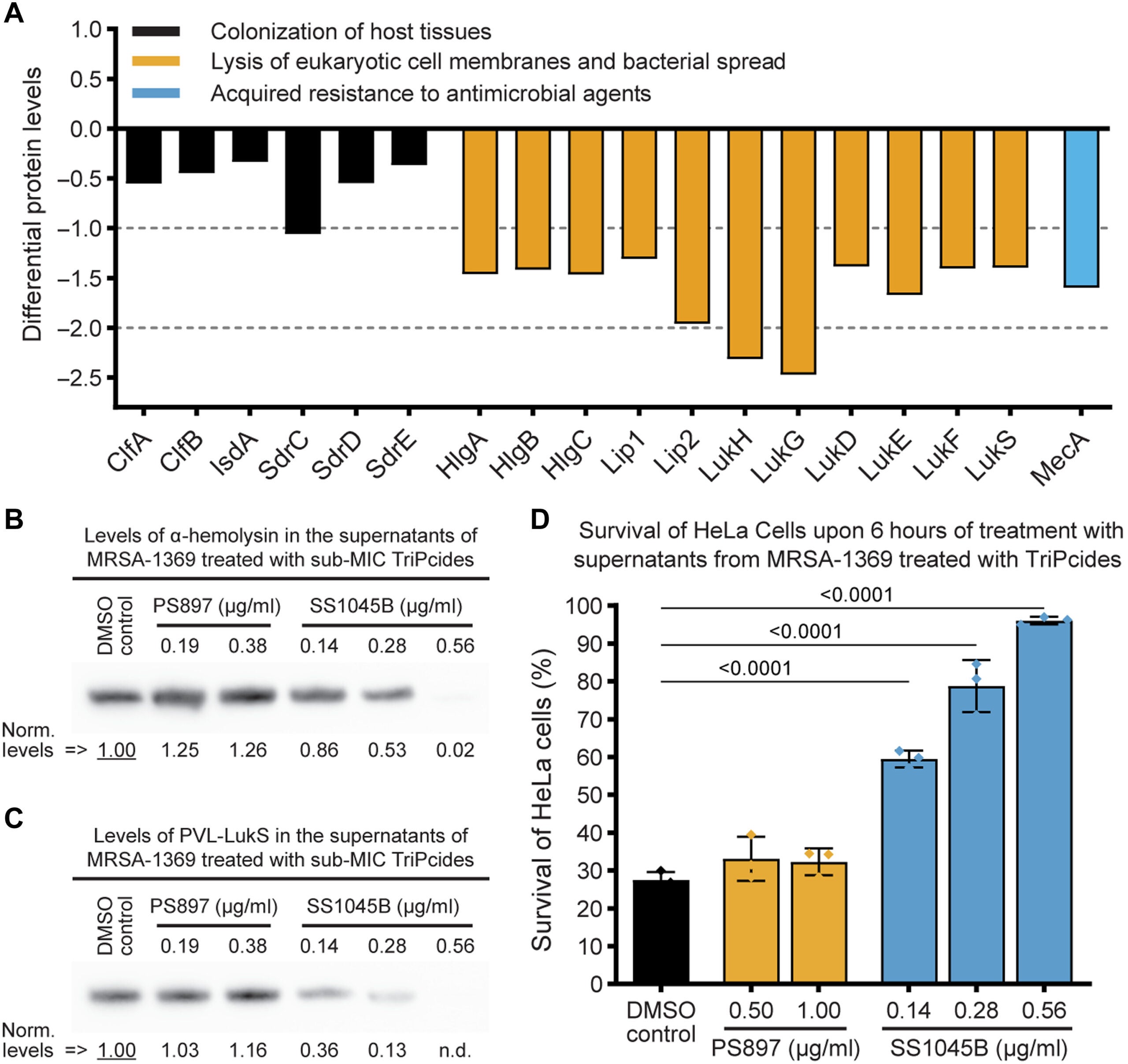 Treatment with sub-MIC SS1045B results in reduced secretion of virulence factors in MRSA-1369.