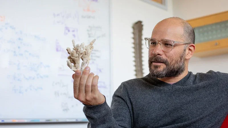 AI Model Speeds Reconstruction of Human Ancestry From DNA
