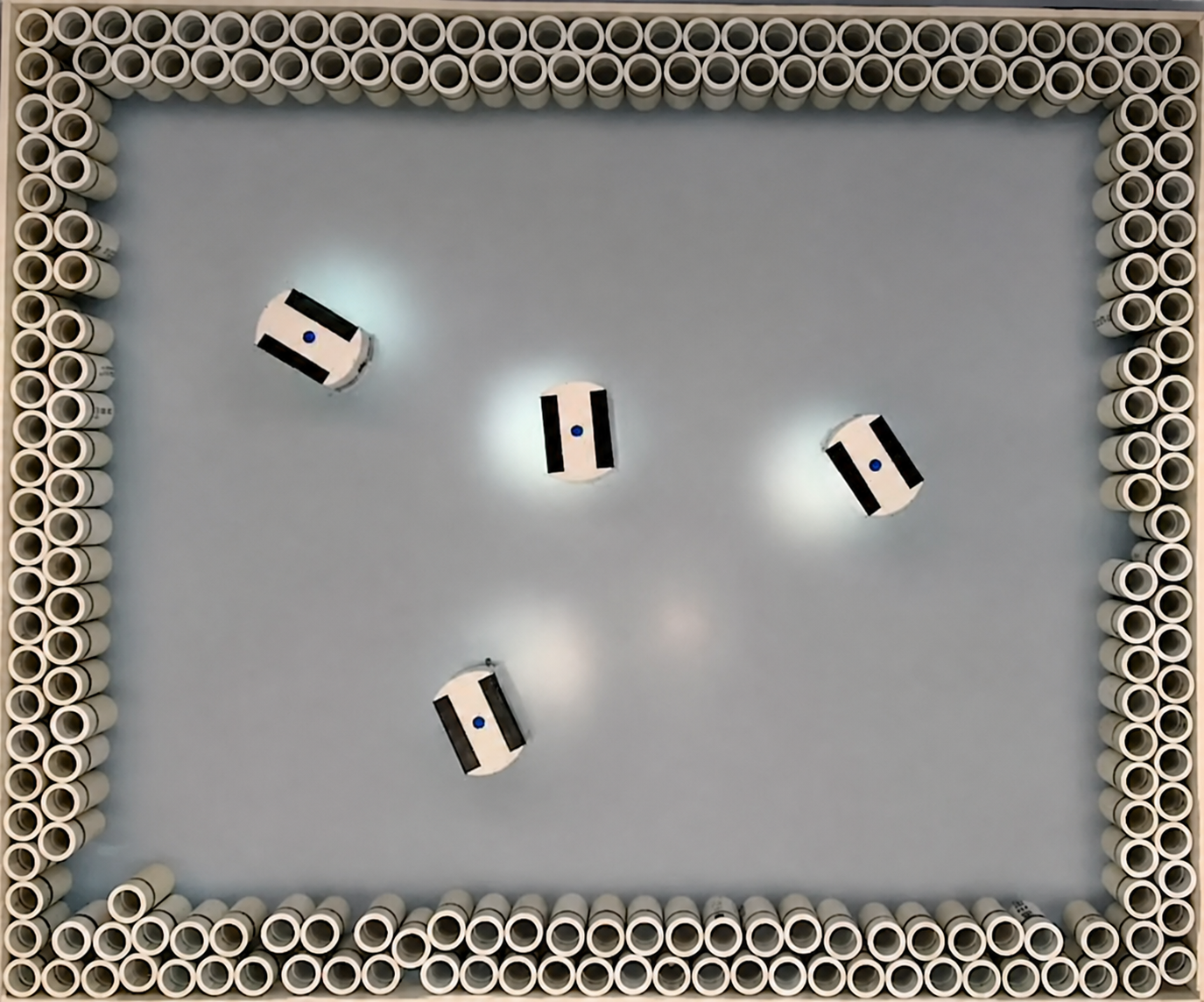 Harvard robots modeled on ants can build or dismantle structures using simple rules and environmental cues.