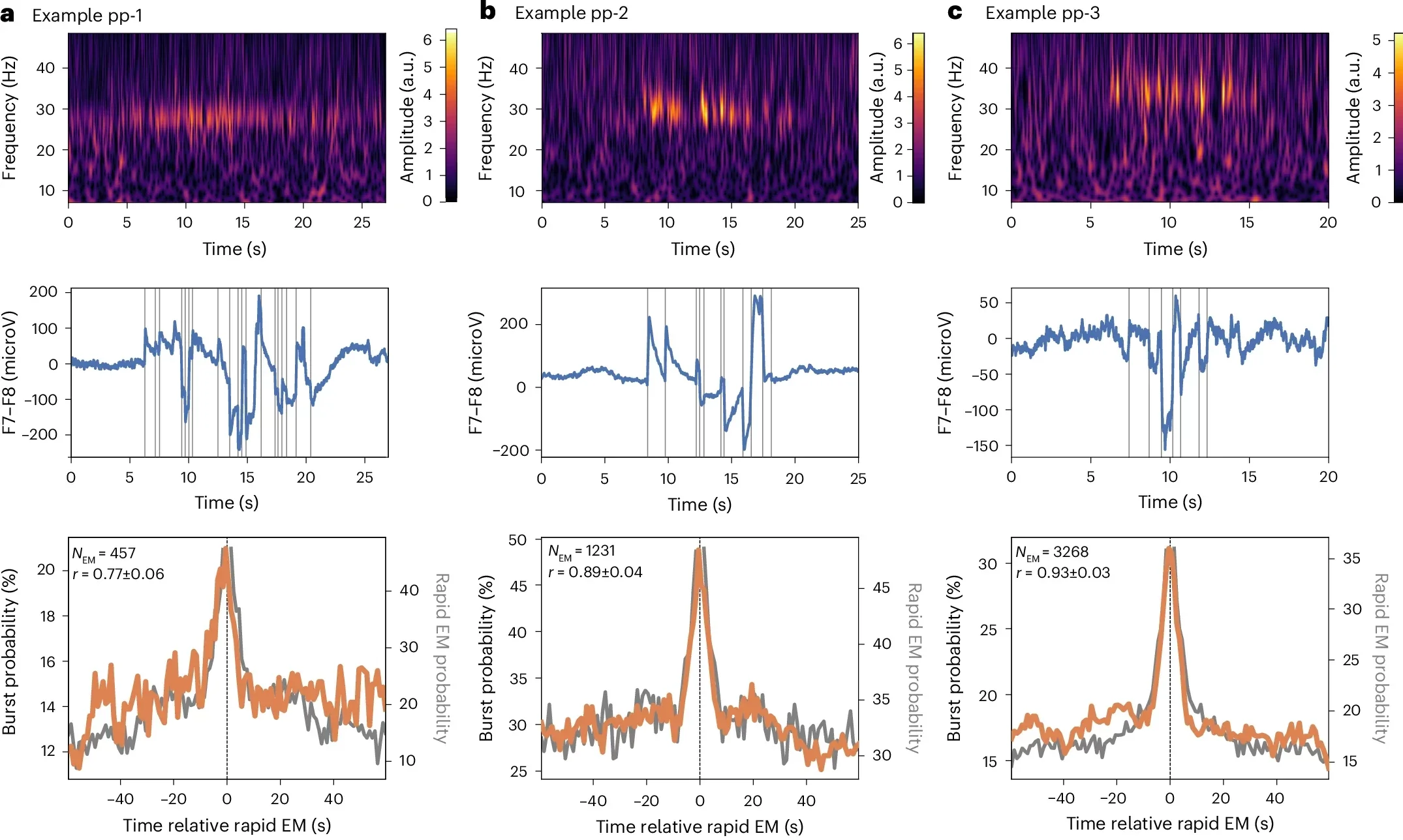 Bursts of the thalamic oscillations co-occur with eye movements during REM sleep.