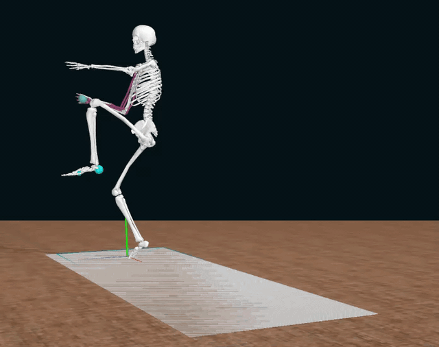 Researchers created a digital skeleton, complete with arm muscles and ligaments, to examine the forces at work when a professional player pitches a baseball at 93 mph, the MLB average. 