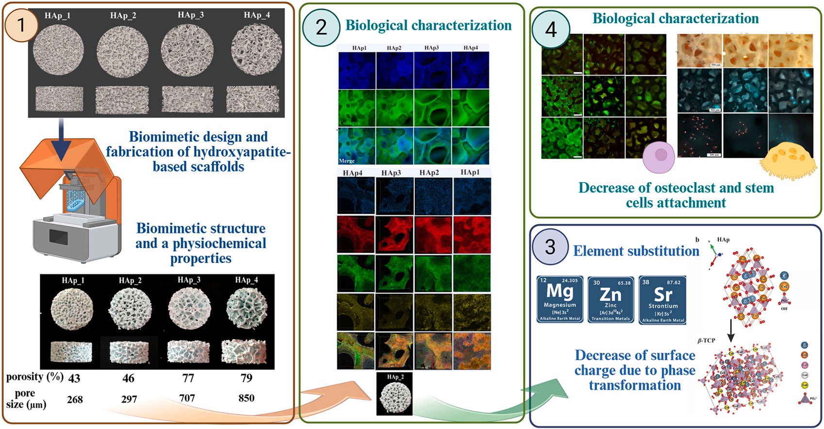 A graphical abstract of the study. 