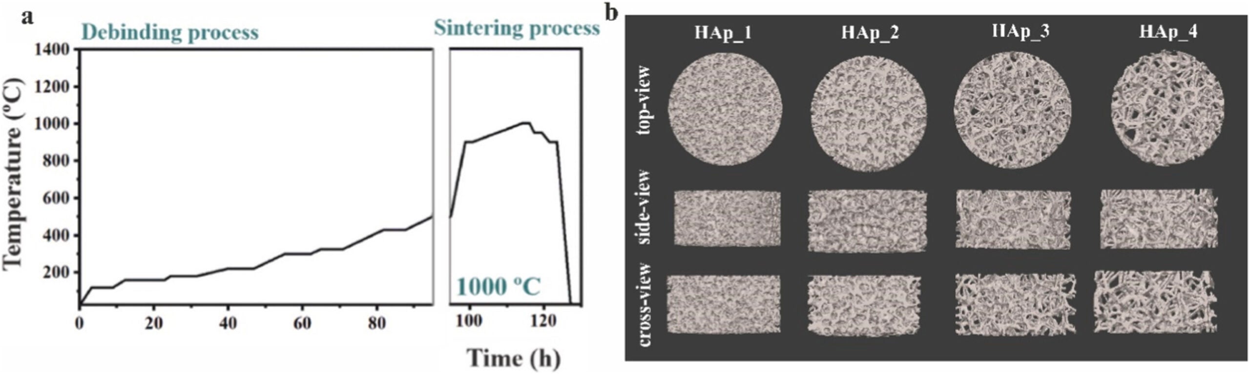 Debinding and sintering schedule of the heat treatment process employed to obtain the final sintered porous structures according to our previous study
