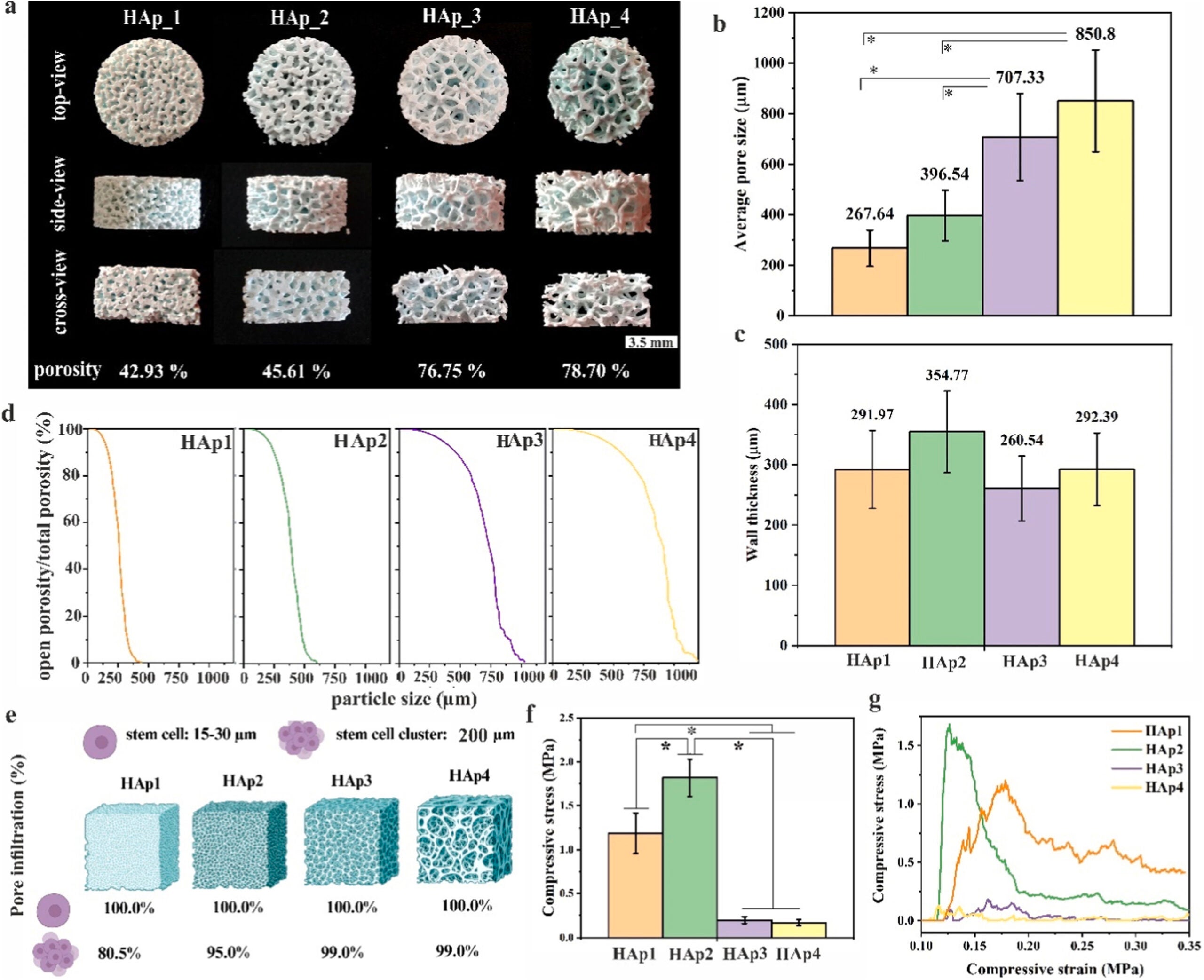 Morphological analysis (n = 1, error bars represent SD) of four different scaffolds (HAp1, HAp2, HAp3, and HAp4) from top, side, and cross-sectional views observed by digital camera, along with porosity evaluation values determined by micro-CT.
