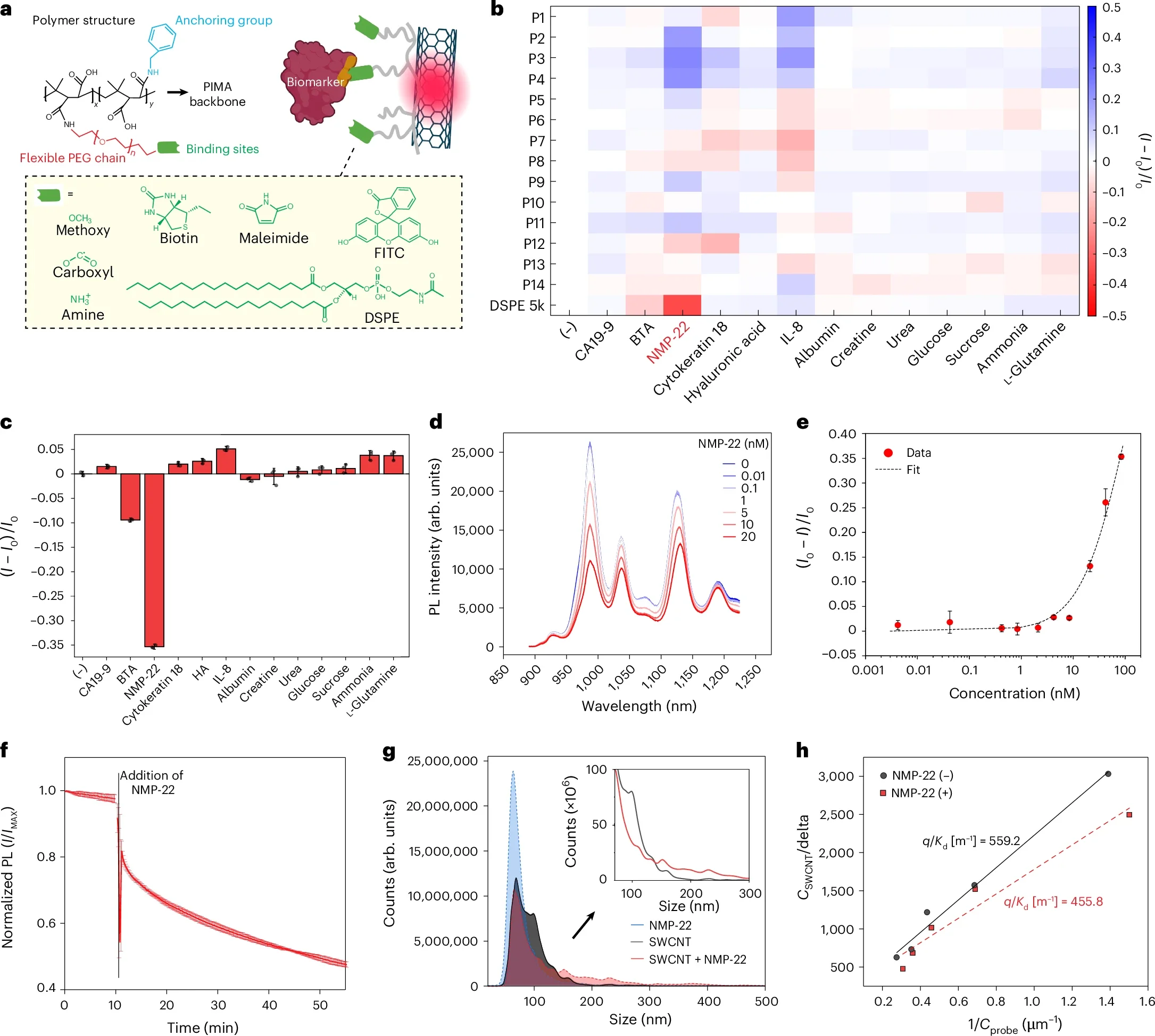 Detection of bladder cancer biomarker and binding characterizations.