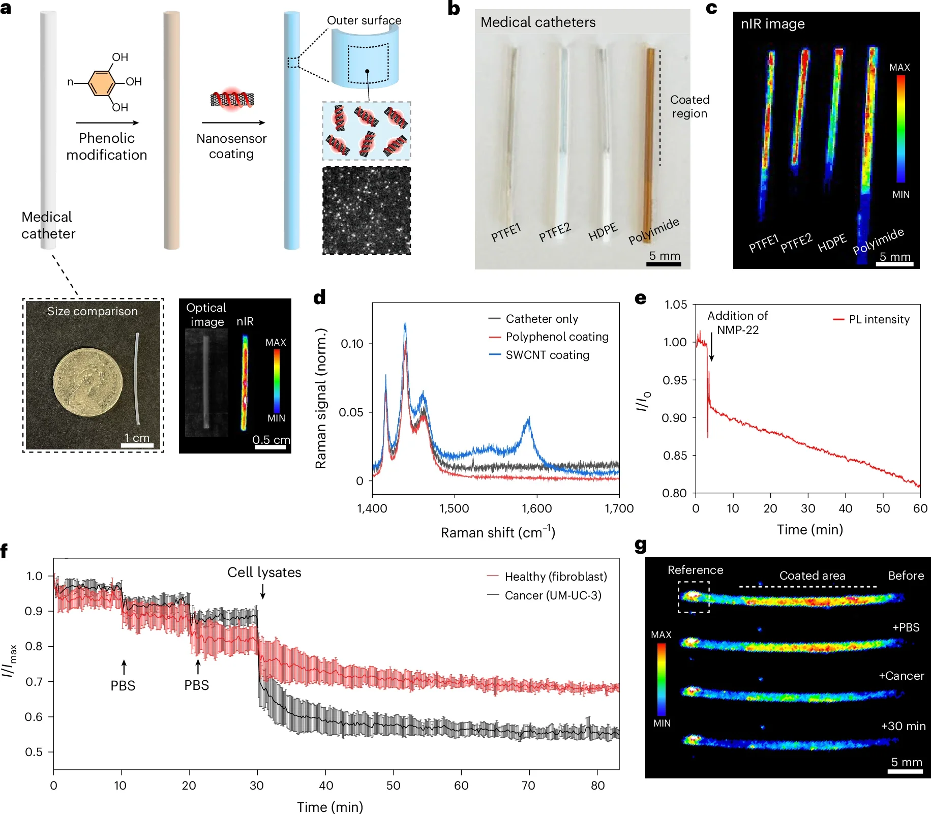 Detection of cell lysates using nanosensor-functionalized catheters.
