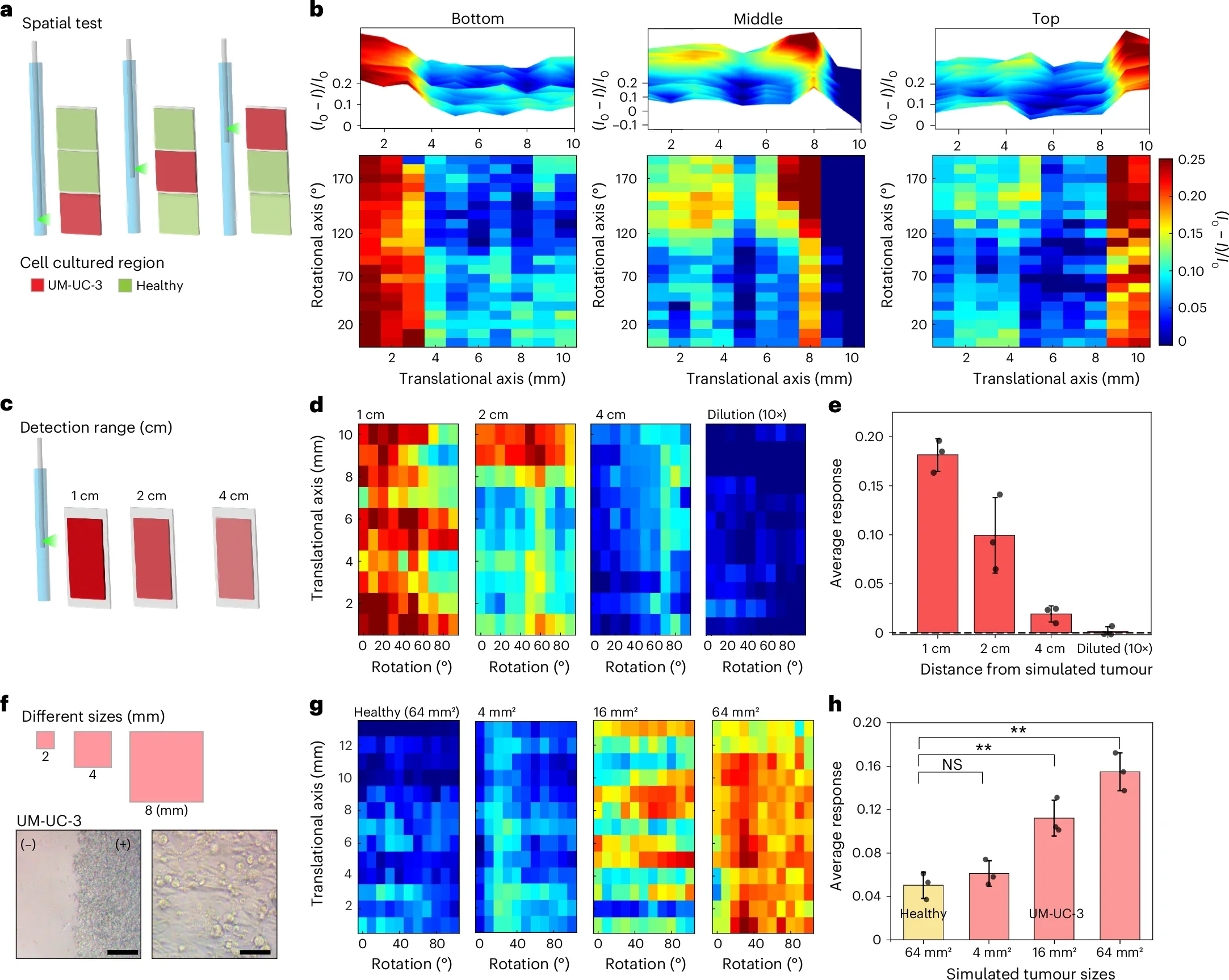 Performance of chemical imaging catheters.
