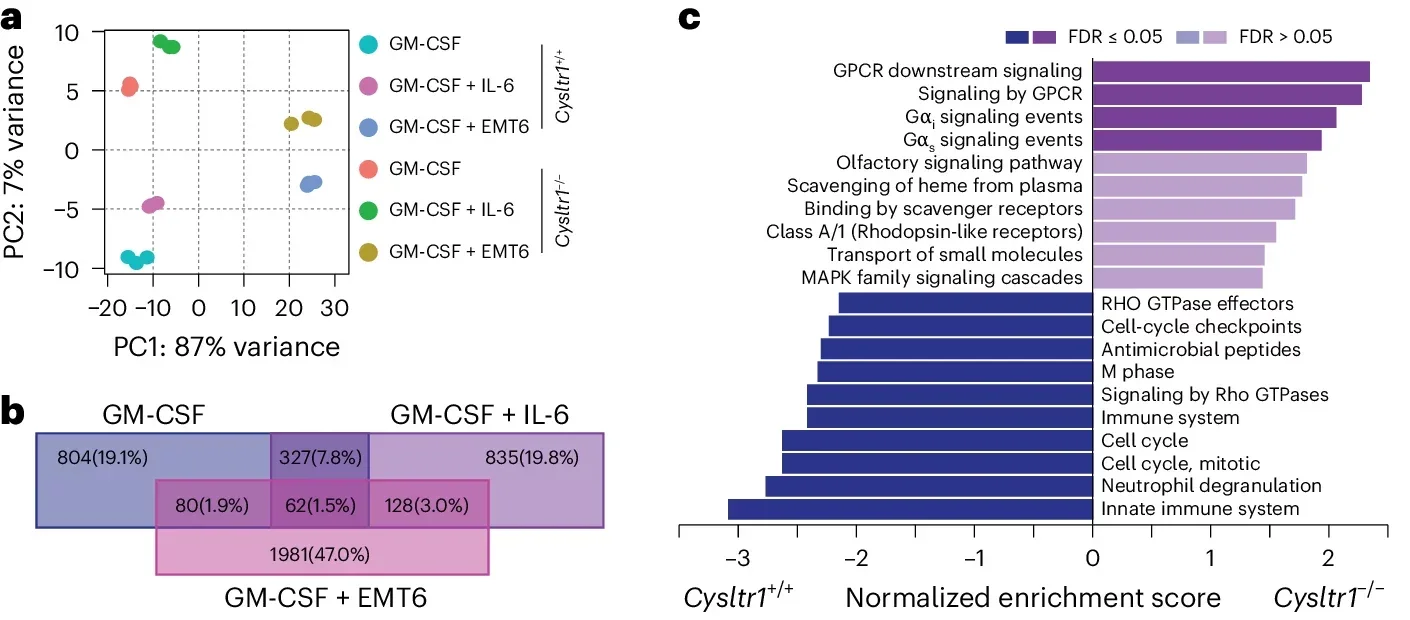 Transcriptional regulation of de novo synthesis of neutrophil granules by CysLTR1 during emergency granulopoiesis.