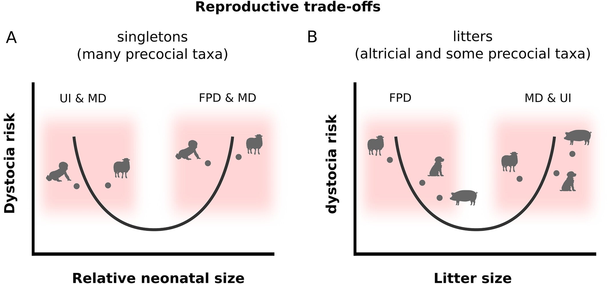 Schematic illustration of two proposed fitness trade-offs in placental mammals between dystocia risk and (A) newborn size relative to maternal size for singleton births and (B) litter size.