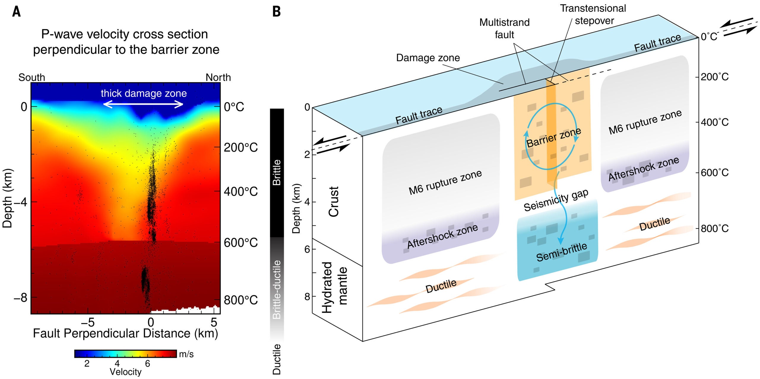 Schematic fault structure for the Gofar transform fault.