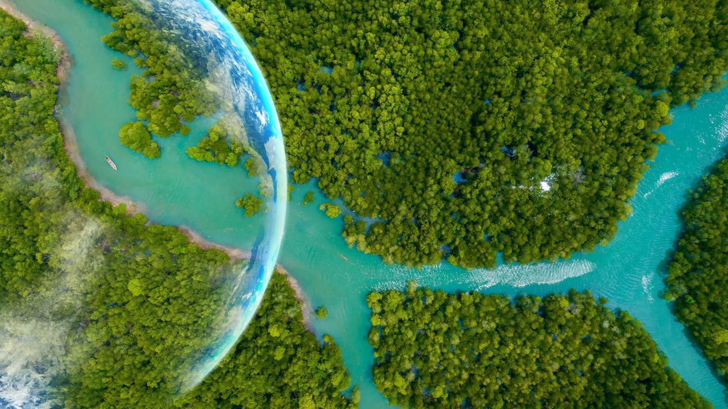 Researchers developed a semiartificial leaf that uses sunlight, carbon dioxide and engineered bacteria to grow living biomass.