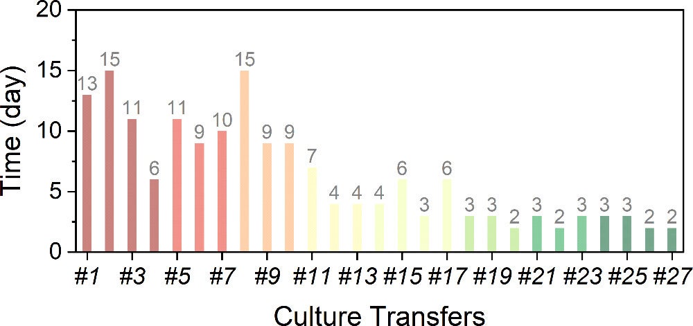 Accelerated autotrophic growth on formate.