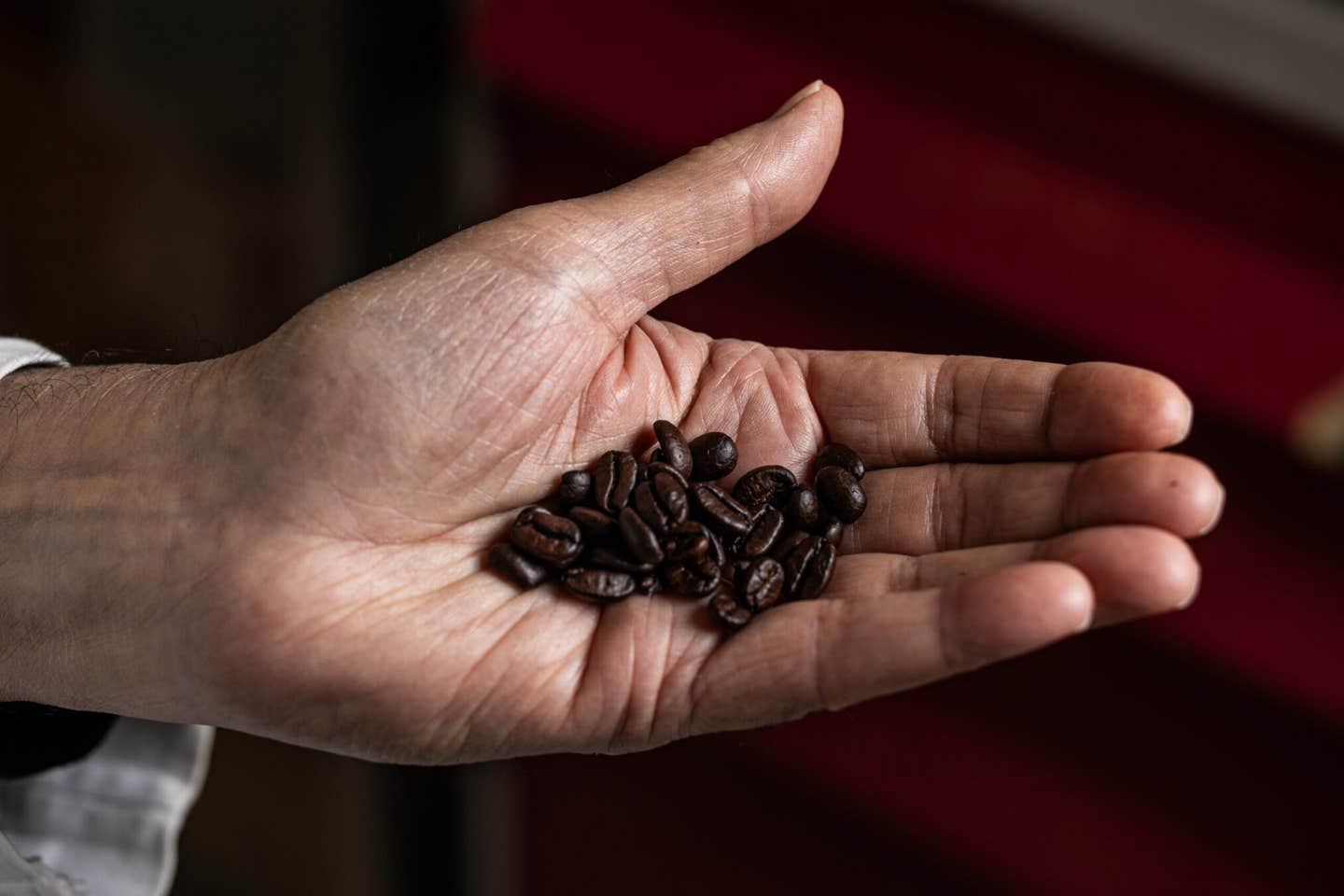 A handful of roasted coffee beans highlights the natural compounds researchers are studying to better understand coffee’s potential health benefits.