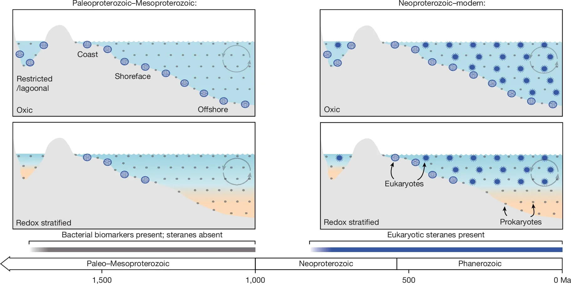 Proposed model of habitat occupation through time.