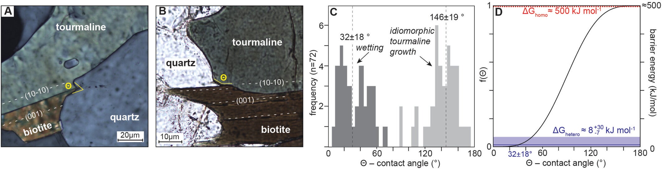 Tourmaline–biotite contact angle. Photomicrograph of tourmaline–biotite (001)–quartz contact angles
