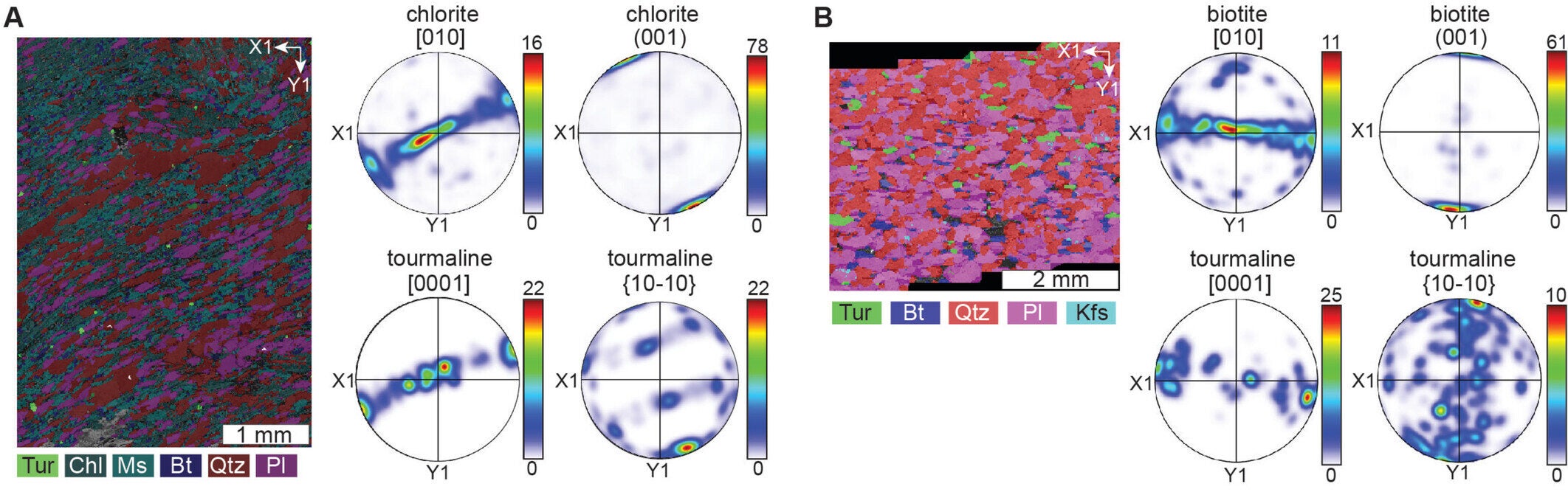 Tourmaline–chlorite and tourmaline–biotite epitaxy. Phase maps and equal-area upper-hemisphere pole figures showing orientations of chlorite and tourmaline from Isua (A) and biotite and tourmaline from Langtang (B).