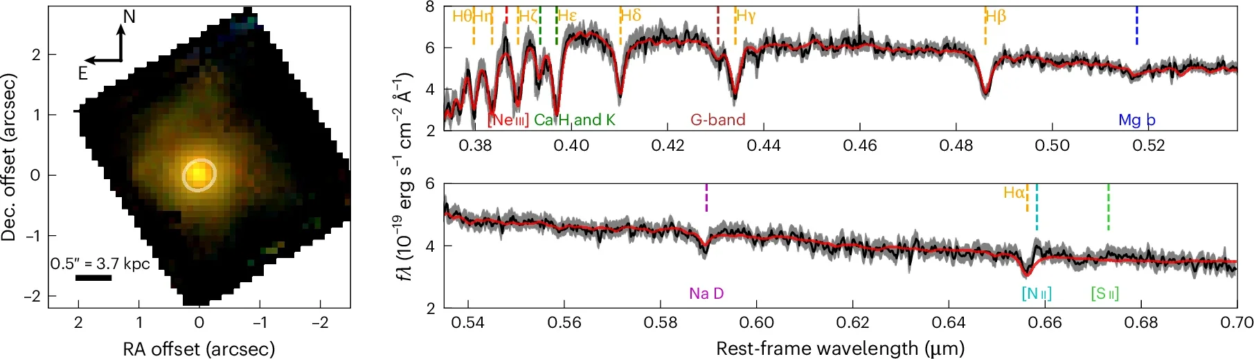 JWST/NIRSpec/IFU data of XMM-VID1-2075.