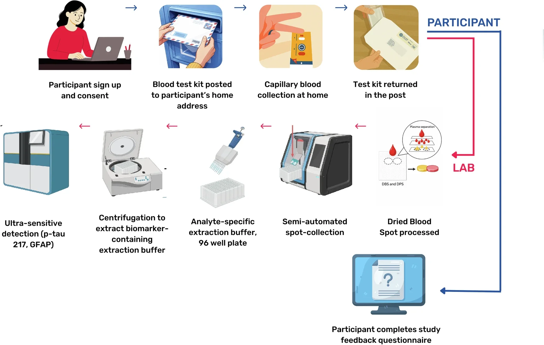 Study flow diagram for sample collection and processing.