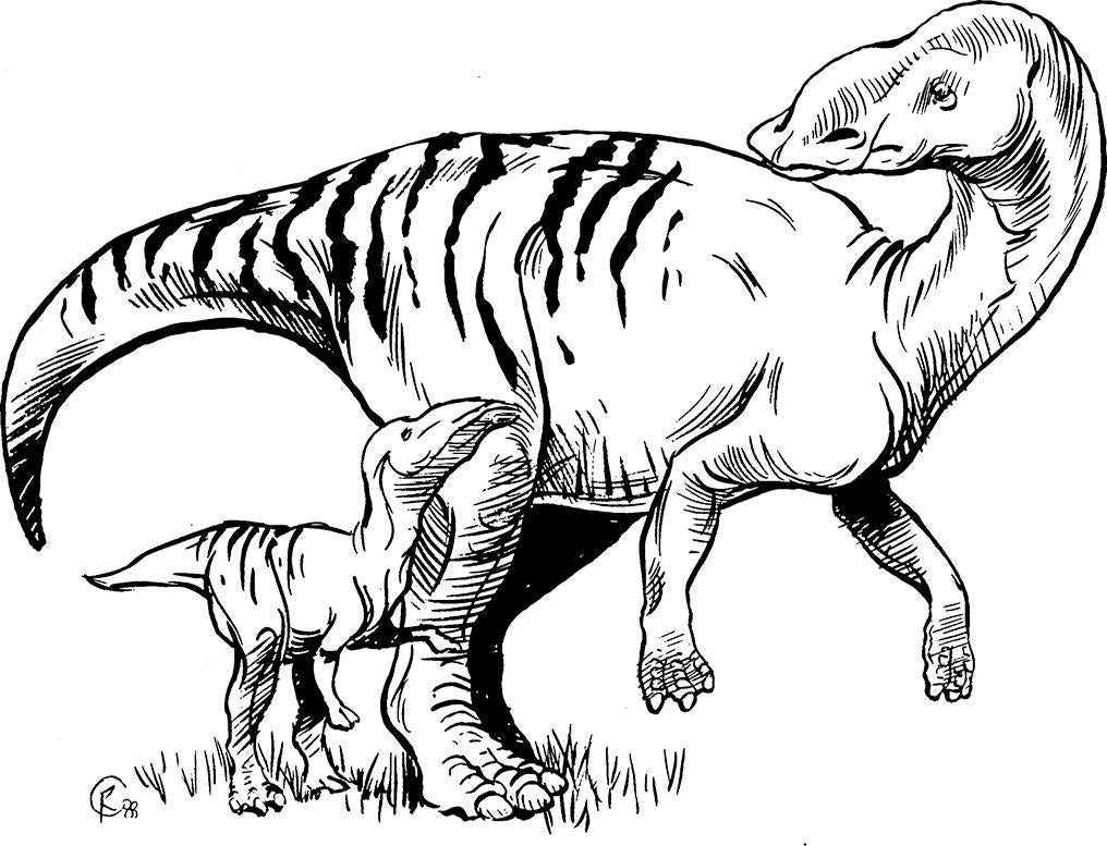 Artist's reconstruction of adult Maiasaura and young.