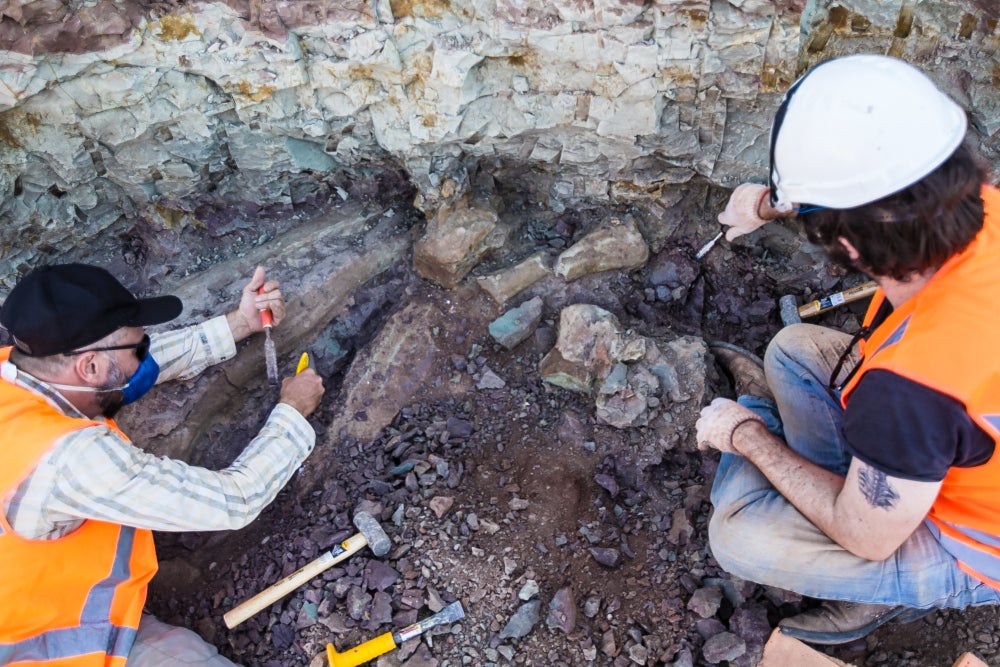 Elver Mayer and a team member excavate around the fossils.