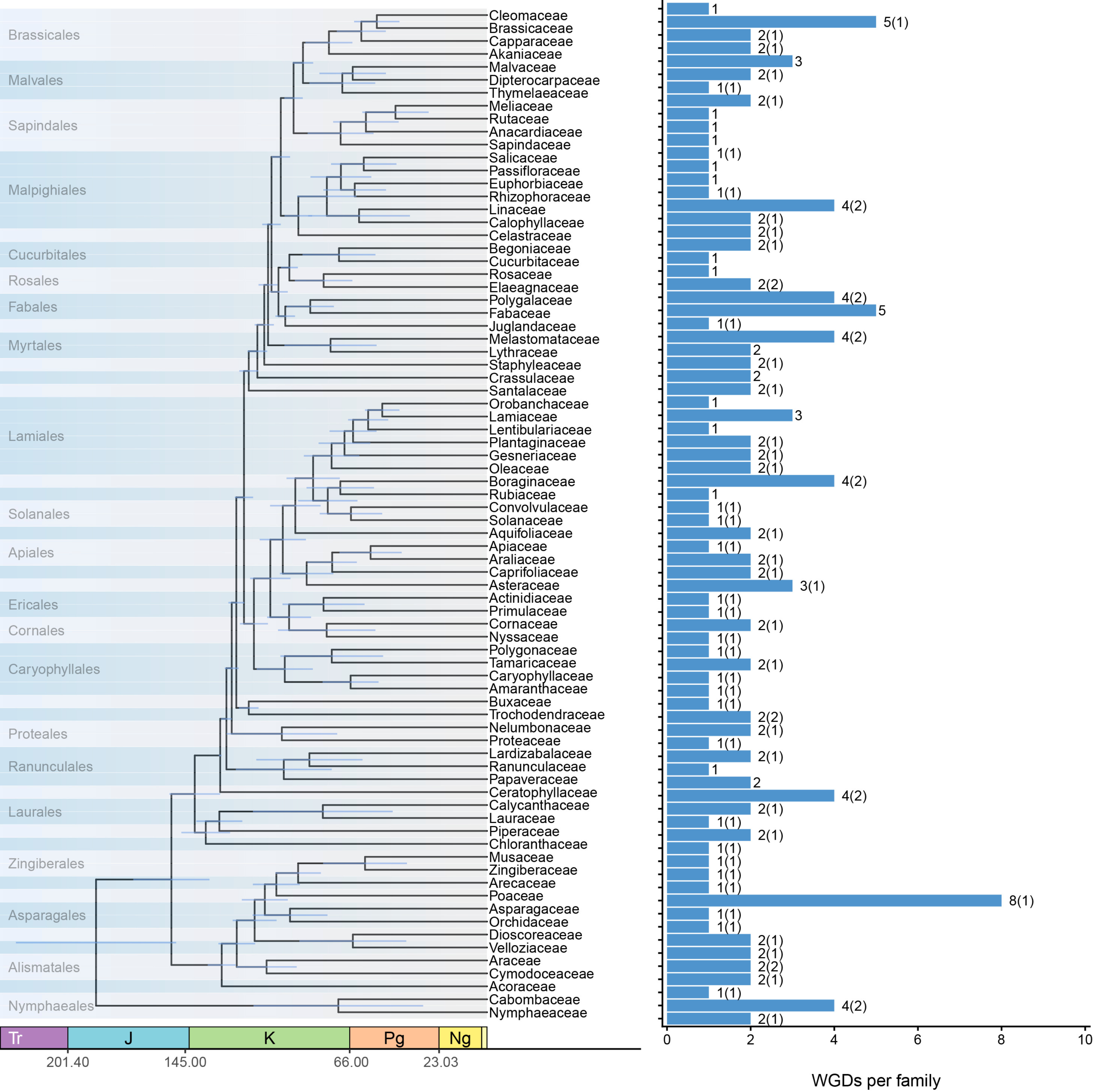 Frequency of WGD events across plant families