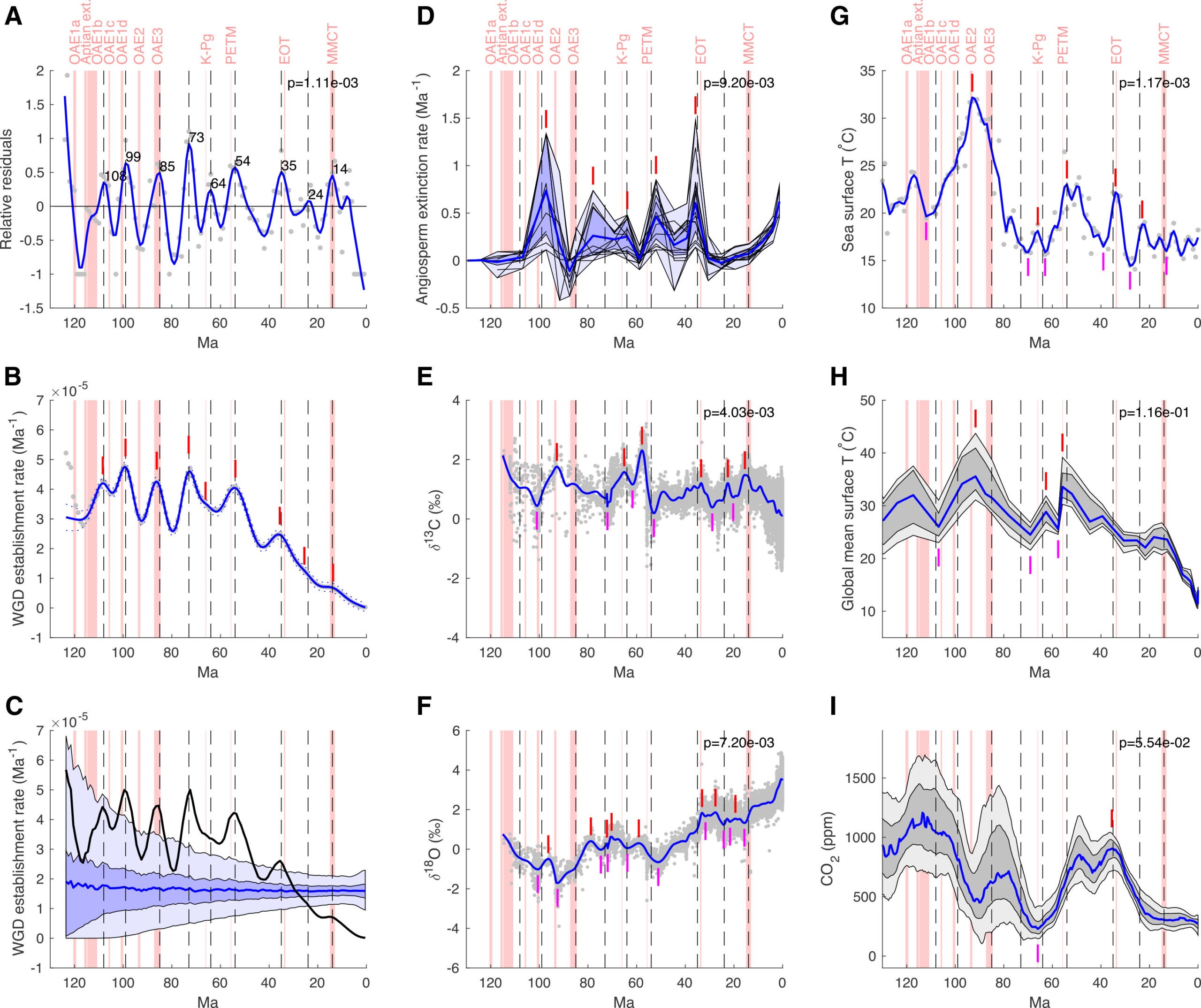 Association between WGD establishment rate peaks, geological events, extinction events, and paleoclimatic extrema