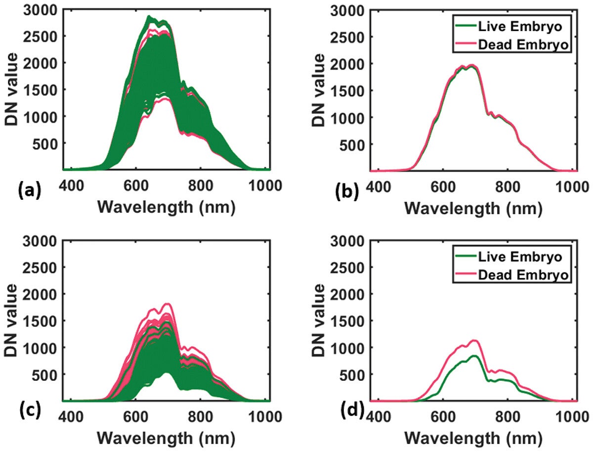Spectral properties of eggs producing live and dead embryos: (a) Spectra of pre-incubated eggs from both groups, (b) Average spectra of pre-incubated eggs, (c) Spectra of eggs on the 4th day of incubation and (d) Corresponding average spectra.