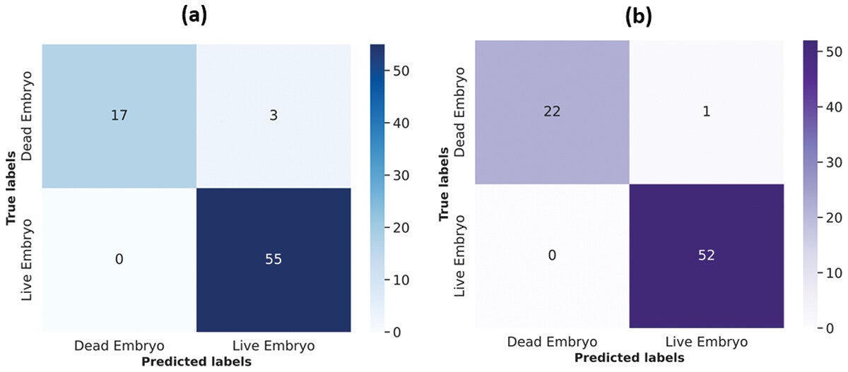Confusion matrix of the PCA feature selected PLS-DA model for chick embryo mortality classification on the 4th day of incubation: (a) Confusion matrix for the validation set and (b) Confusion matrix for the test set.