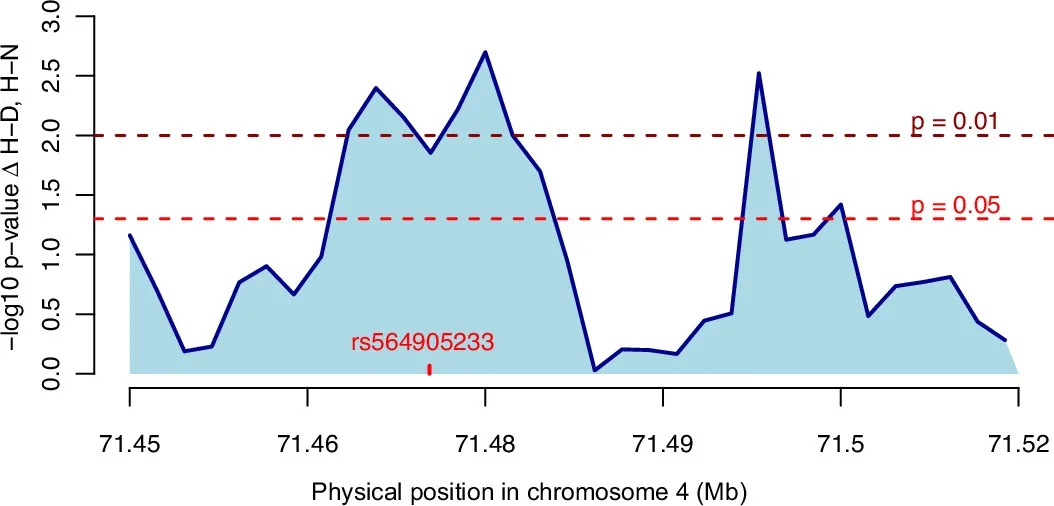 Permutation test p-values for DNA sequence divergence between modern Africans compared with a Denisovan and a Neanderthal.