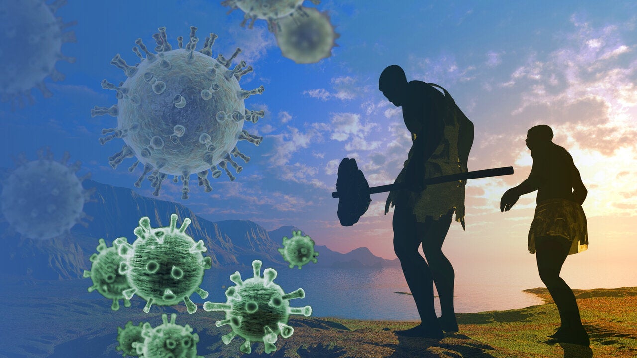 Neandertal ancestry still shapes human immunity, but not always in helpful ways.