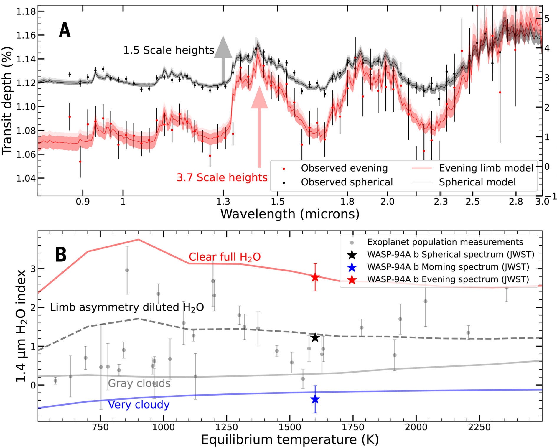 Inferred composition of WASP-94A b and the effect of limb asymmetry.