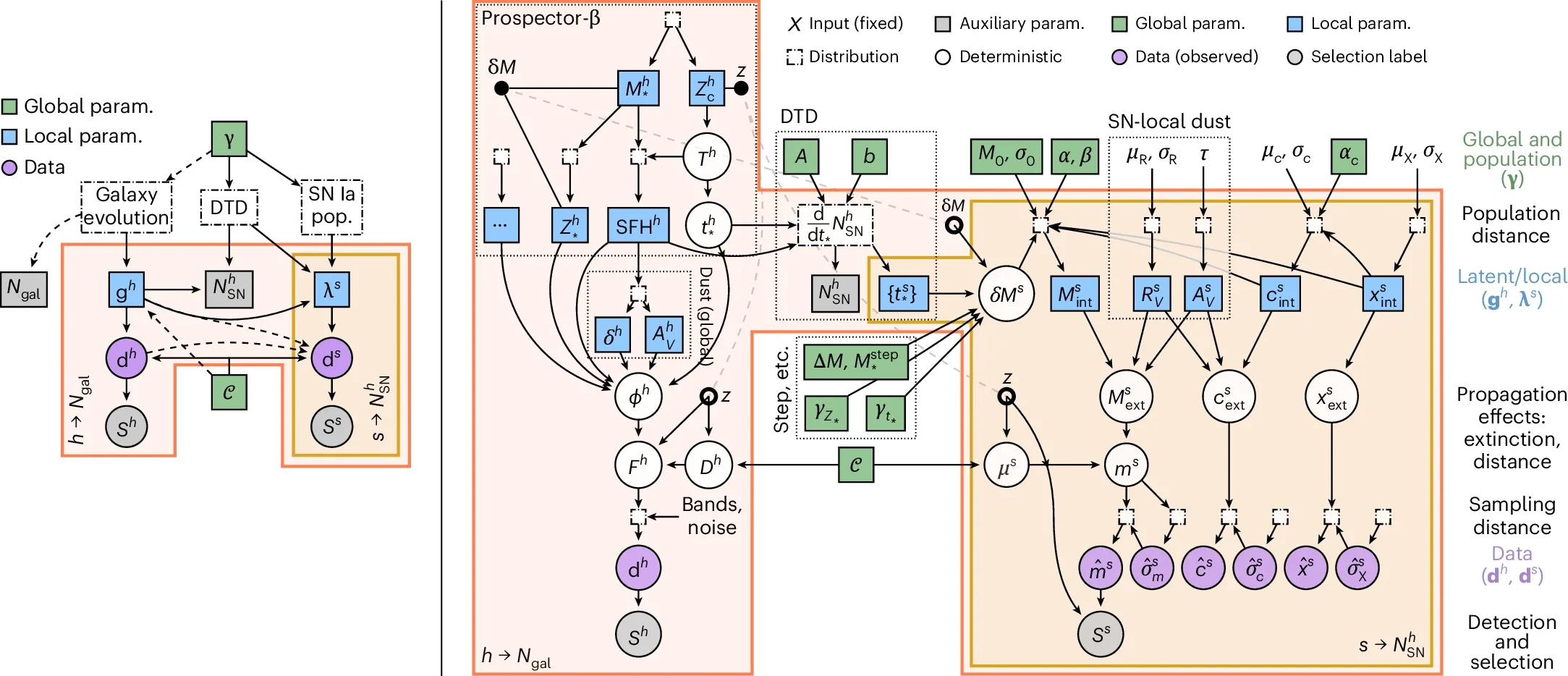 Unified Bayesian hierarchical modelling of type Ia supernovae and host galaxies.