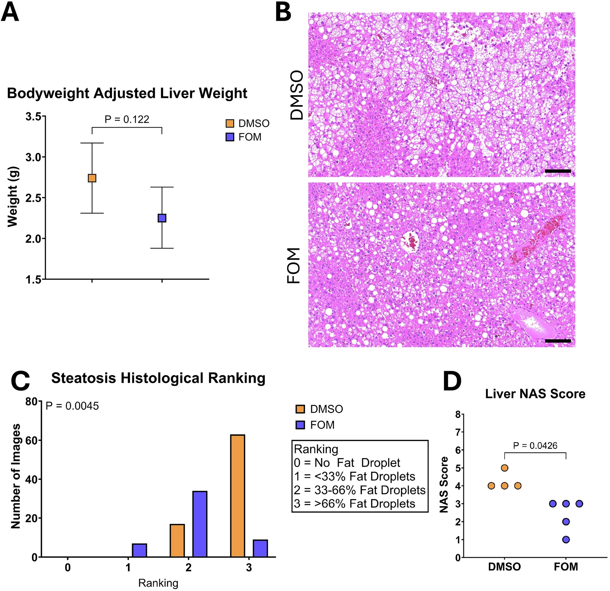 Formoterol treatment attenuates steatosis in HFD mice.