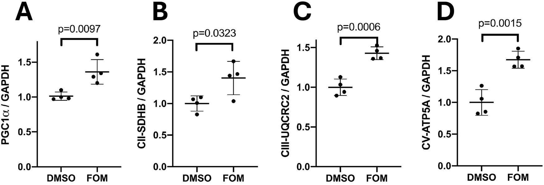 Formoterol treatment leads to upregulation of PGC1α and OXPHOS subunits in murine livers.
