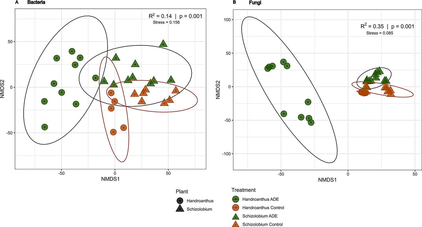 Beta diversity calculated by Euclidean distance and plotted in a non-metric multidimensional scaling. (A) Prokaryotes. (B) Fungi. R-squared and p-values were calculated by PERMANOVA with 999 permutations