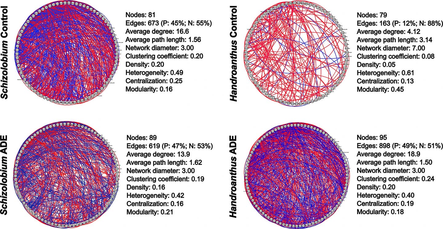 Co-occurrence network analysis of microbial communities in Schizolobium amazonicum and Handroanthus avellanedae soils under control and ADE treatments.