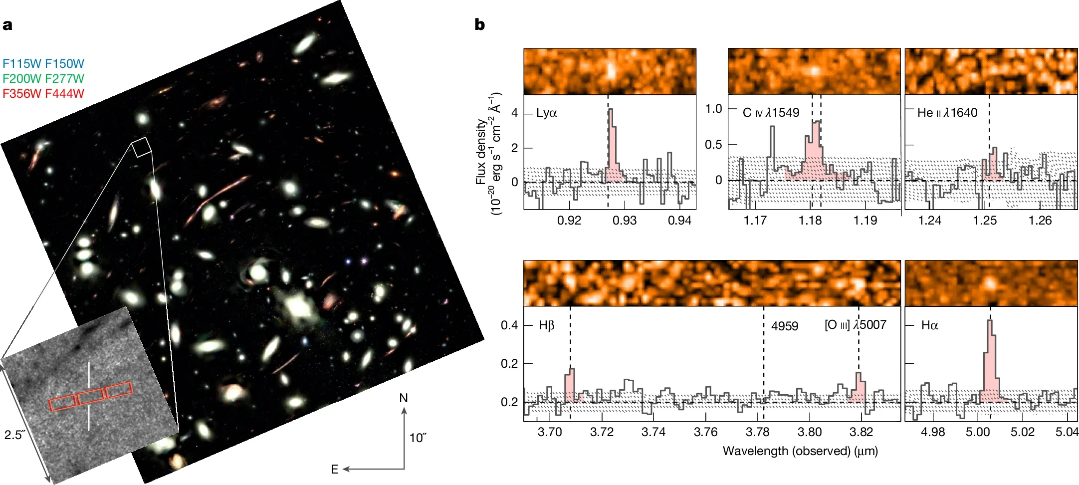 NIRCam image and NIRSpec spectra of LAP1-B.