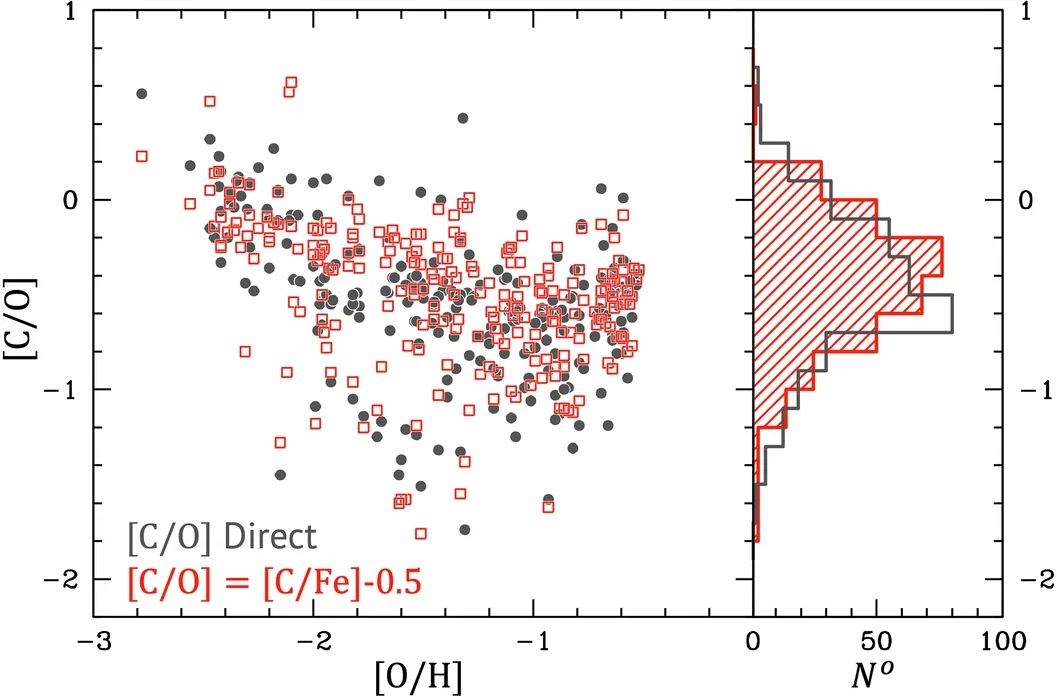 Chemical abundance patterns observed in Milky Way halo stars.