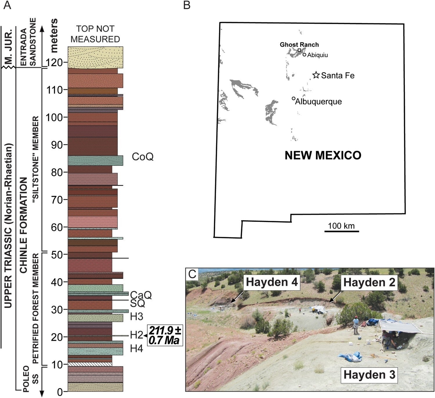Hayden Quarry locality information. A, stratigraphic column for Chinle Formation at Hayden Quarry; B, map of New Mexico showing the location of the Hayden Quarry (HQ) within the state; C, photograph showing site information with the locations of quarries H2 and H3.