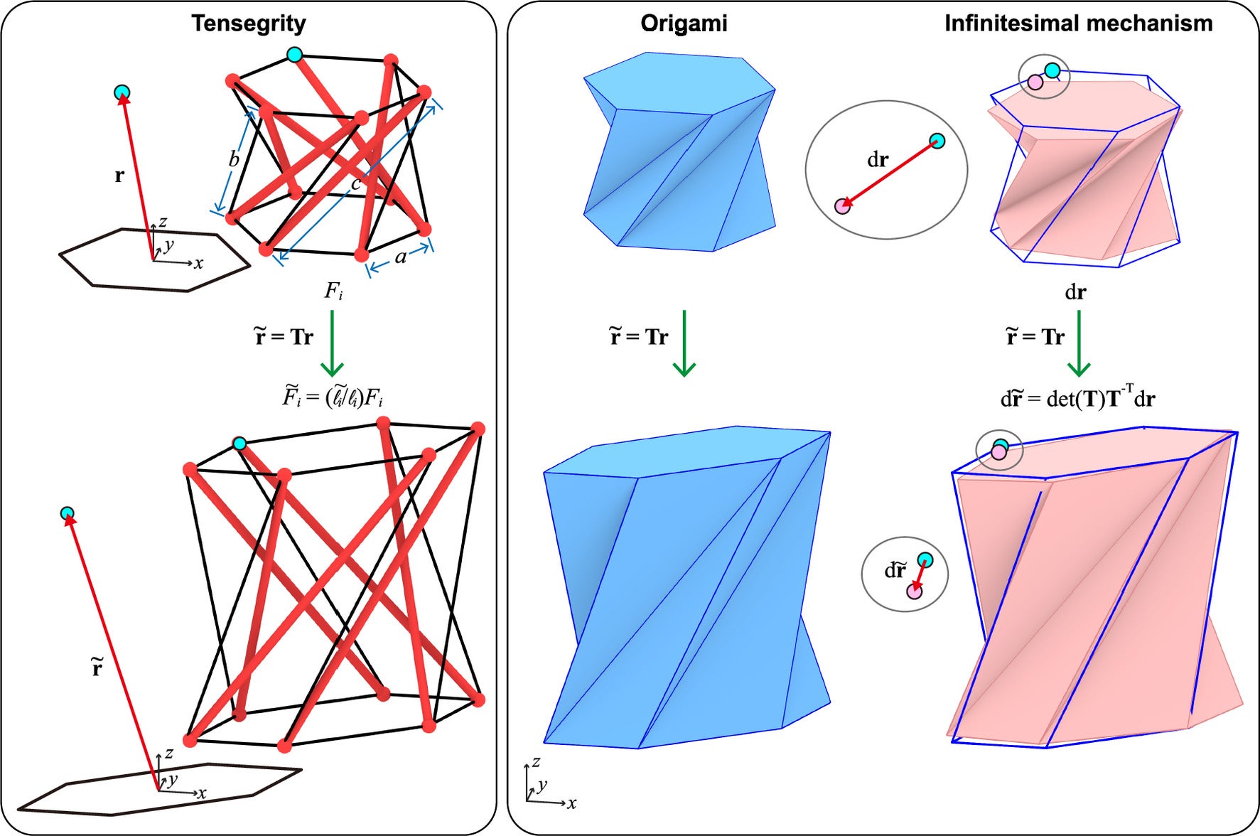 Tensegrity describes a different kind of order, one seen in systems like the human skeleton, where hard bones and softer tissues share stress to maintain shape.
