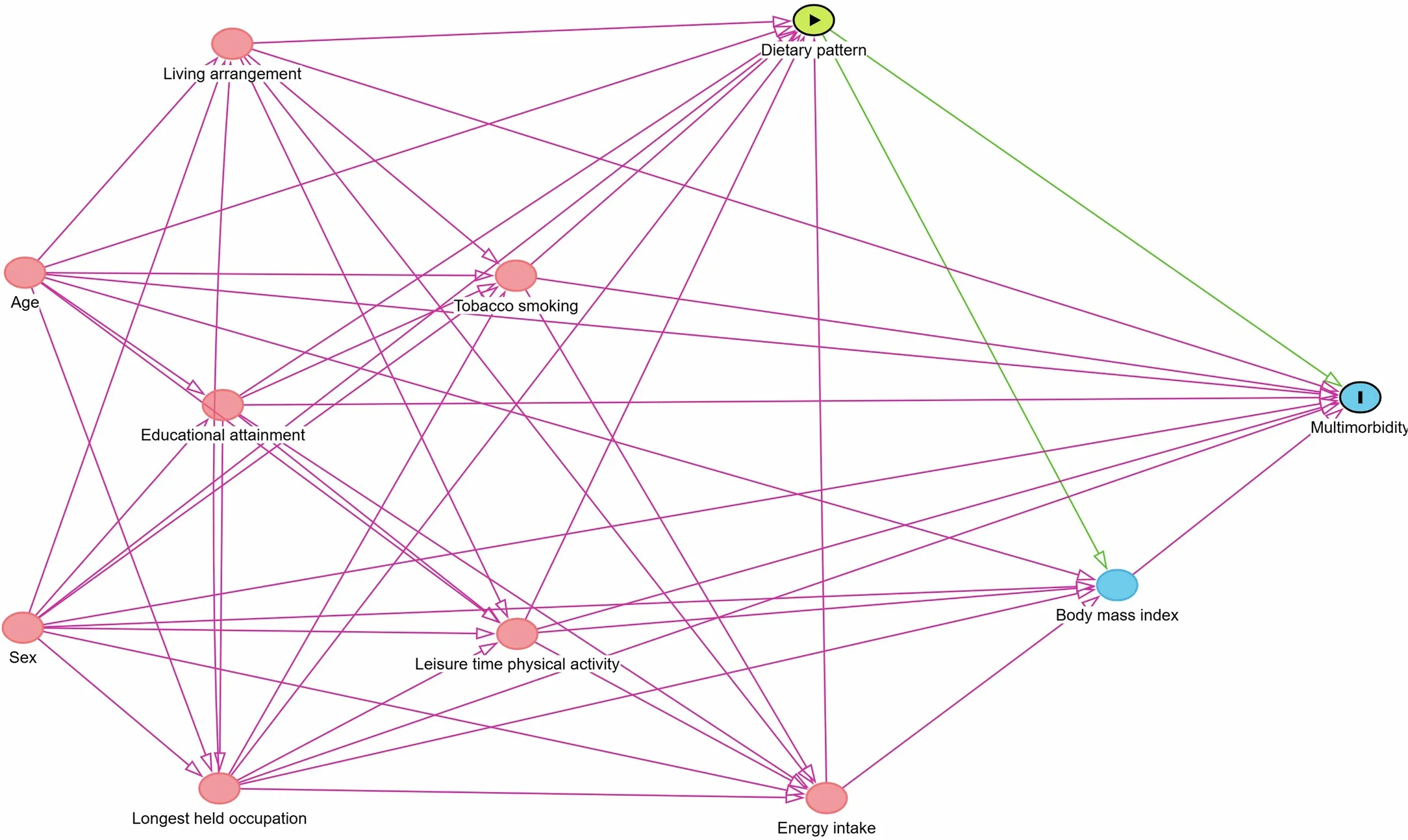 Directed acyclic graph describing the potential causal and confounding effects of diet quality on multimorbidity.