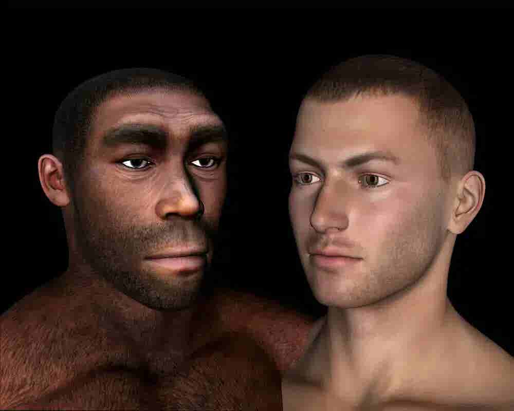 Ancient tooth proteins from China suggest Homo erectus may have passed genetic variants into Denisovans and later some humans.