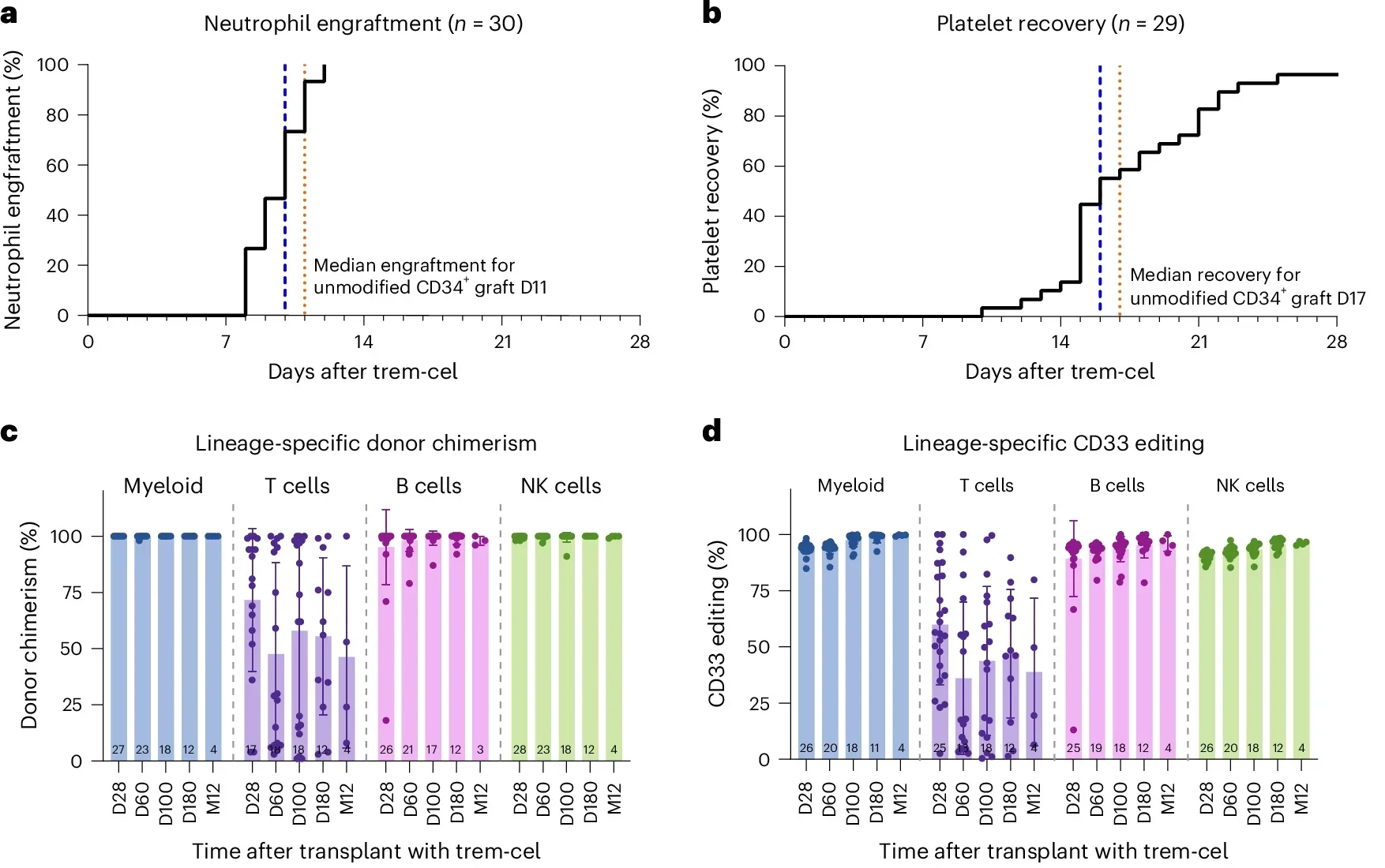 Engraftment and immune reconstitution.