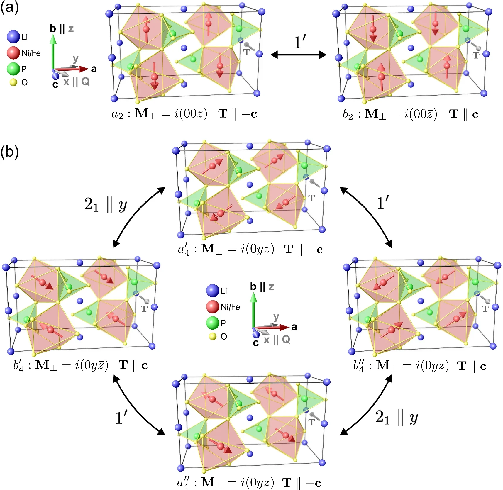 The magnetic structure in LiNi0.8Fe0.2PO4 at T = 22 K (below T2) has Pnma′ symmetry and leads to two symmetry-allowed magnetic domains—labeled a2 and b2—which are related by the time-inversion operator 1′. 