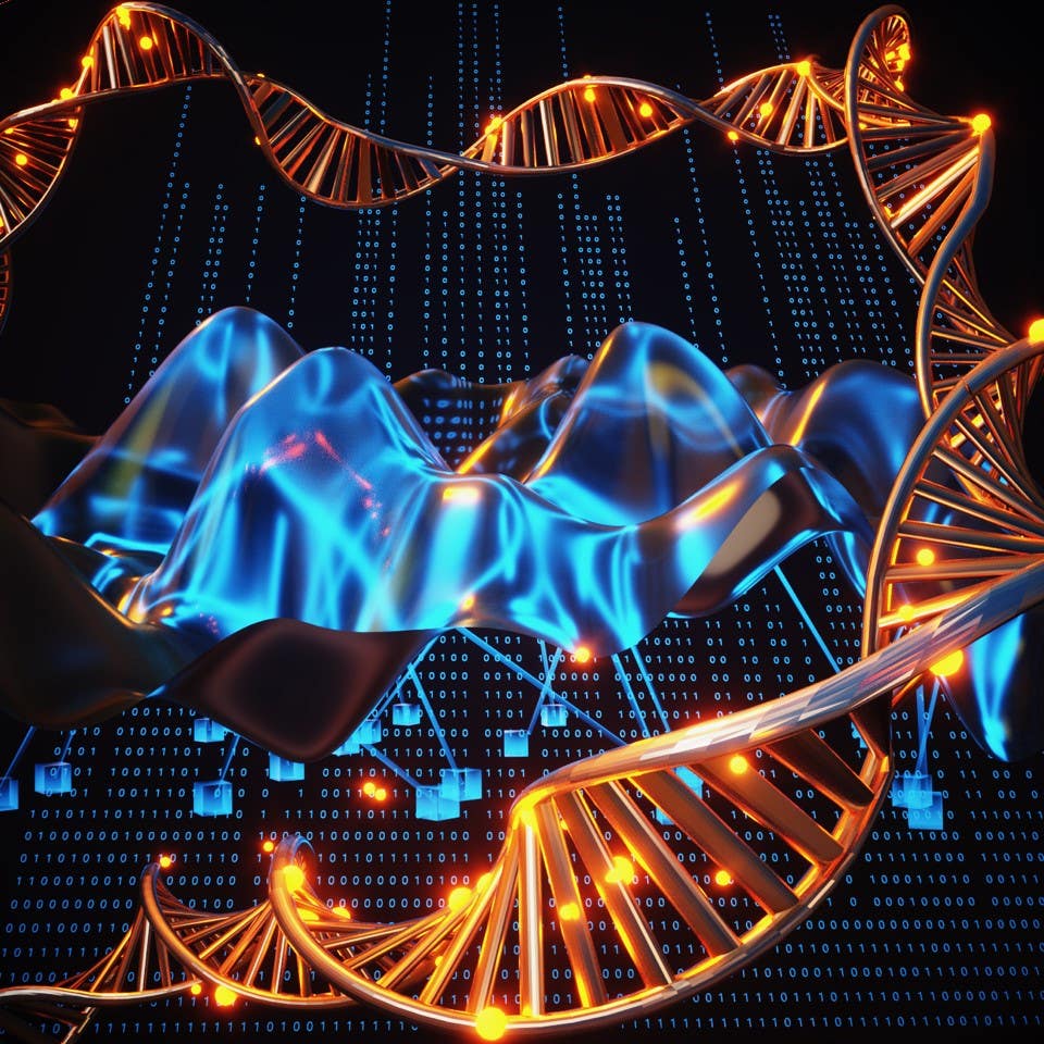 Genetic information in the DNA and modifications, such as DNA methylation, define the epigenetic landscape and phenotype and show both Mendelian and non-Mendelian heredity.