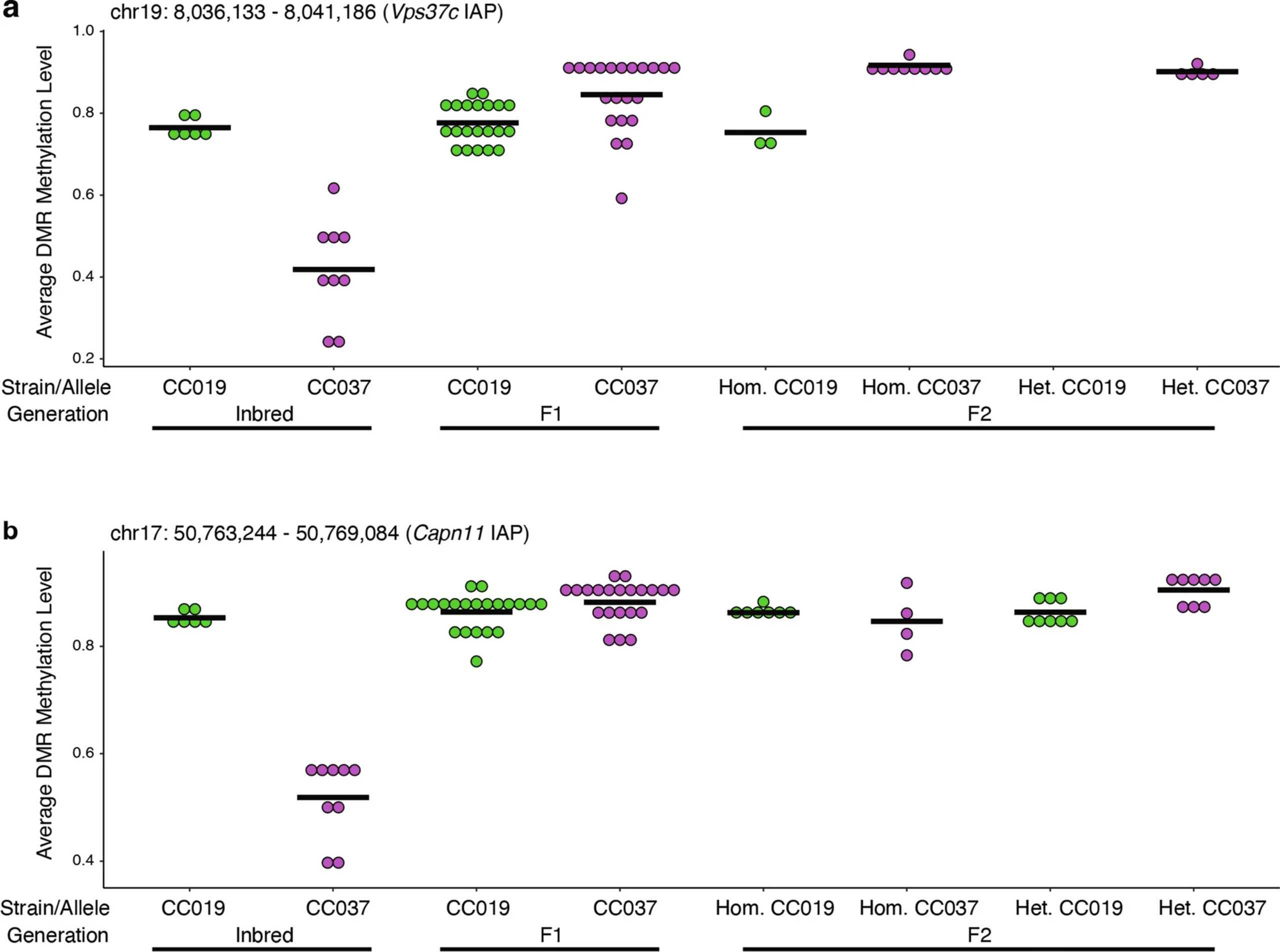 Intergenerational DNA methylation patterns of two highly likely paramutation regions.