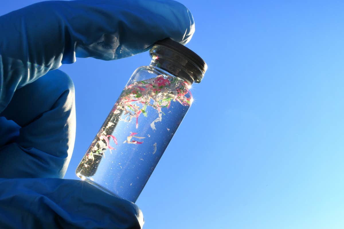Microplastics may be weakening the ocean’s ability to fight climate ...