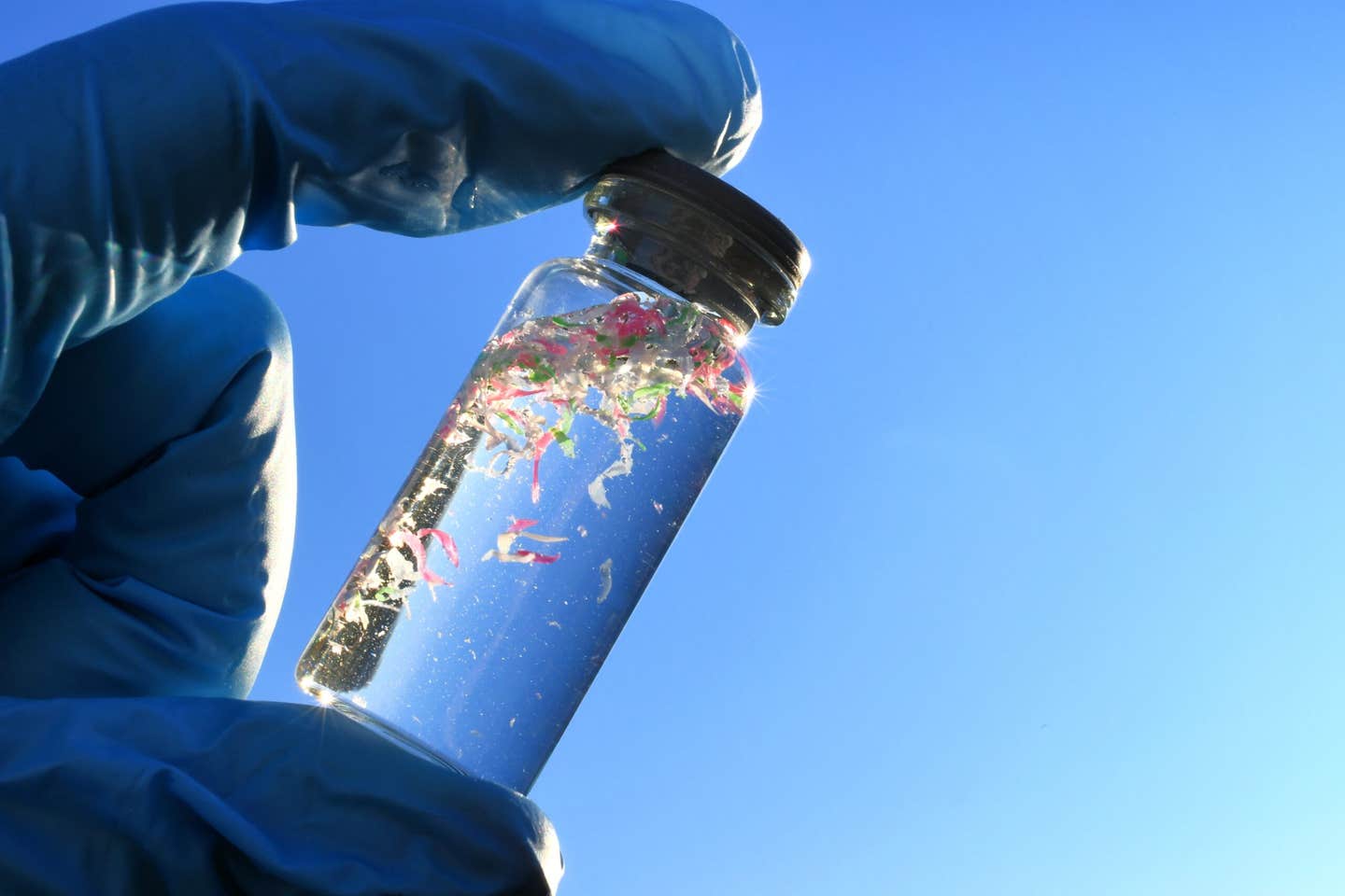 Scientists warn that rising microplastic pollution could weaken the ocean’s natural carbon storage system by harming phytoplankton.