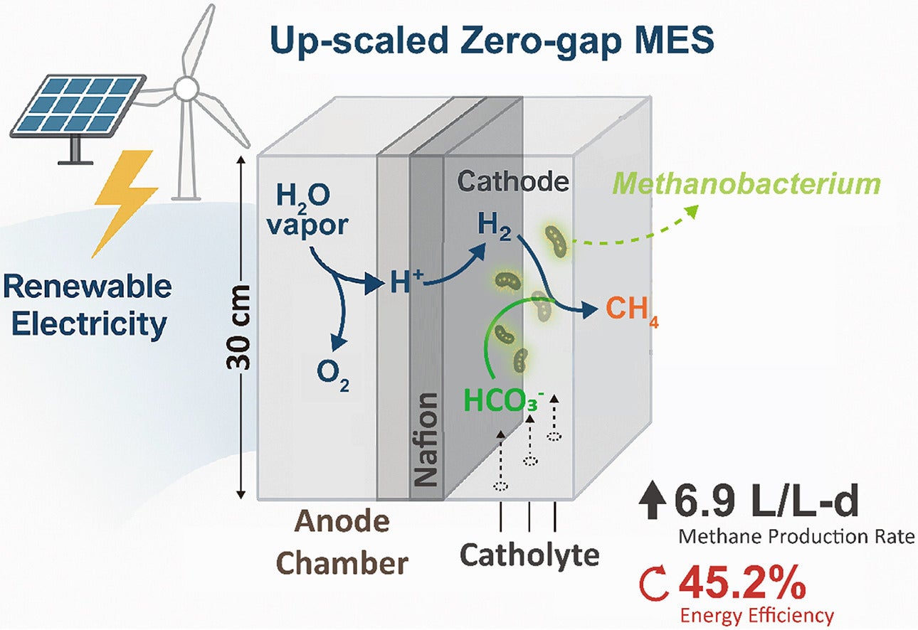 A graphical abstract of the study. 